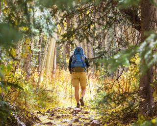 Waldchalets & Ferienwohnungen Allgäu - 1