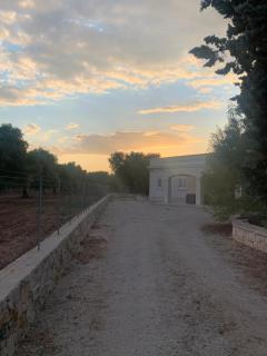 La dama bianca - San Vito dei Normanni - 6