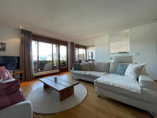Top View near Lucerne & Mountains - Sarnen - 6
