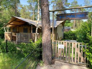 Ons plekje in het bos - 4