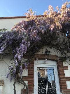 Cocon - Saint-Nazaire - 6