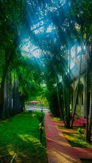 Hotel Jungle Palace Resort - Umariā - 8