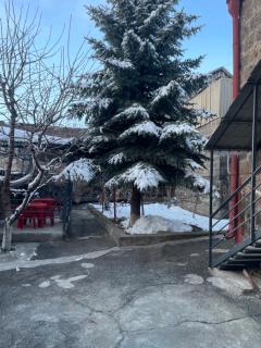 Ankyun - Gyumri - 6