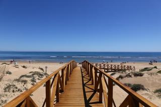 PMT13 - Penthouse with beach view - Garage - La Mata - 8