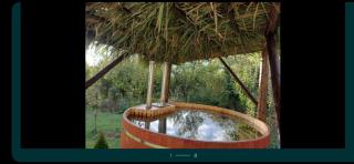 Ferdinánd Guesthouse - Viile Satu Mare - 7