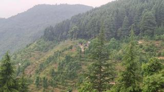 Navira Hills Kanatal - Kanatal - 4