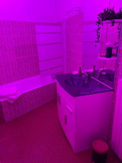 Flower spa - Jacuzzi intérieur - T2 - Toulouse - 2