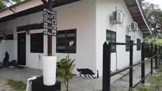 House of Wolves Hostel - 9