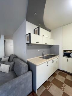 Apartament Siedemnastka Krynica-Zdrój - Krynica-Zdrój - 7