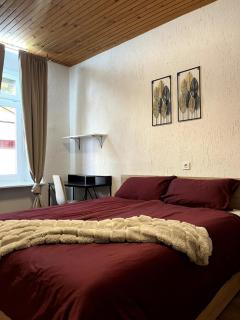 Cosy aparment in Maribor - Maribor - 0