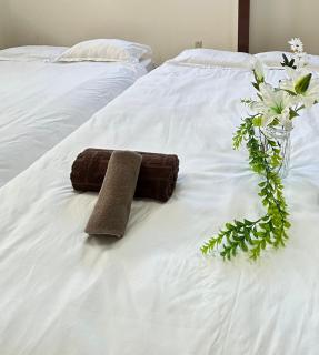 Ueno Sakura House - 2