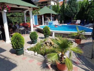 Apartments Nikolić - Soko Banja - 5