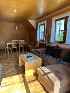 BOLFI LUX Apartma z balkonom - Hočko Pohorje - 9
