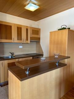 BOLFI LUX Apartma z balkonom - 6