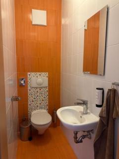 BOLFI LUX Apartma z balkonom - Hočko Pohorje - 3