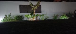 FRAMANTIS App No 6 - 2