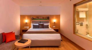Hotel Cloud International Near IGI Airport - Neu-Delhi - 2