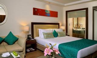 Hotel Cloud International Near IGI Airport - New Delhi - 3
