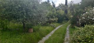 Chambre chez l'habitant - 7