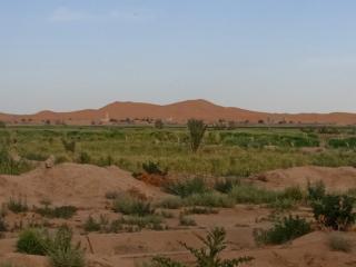 Camp Standard Ayour - Merzouga - 5