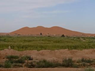 Camp Standard Ayour - Merzouga - 4
