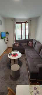 Apartman Pinja - Vlasic - 3