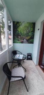 Apartman Pinja - Vlasic - 5