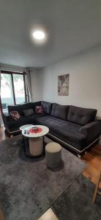 Apartman Pinja - Vlasic - 7