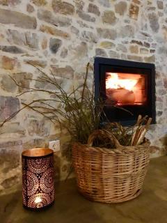 Beautiful country home immersed in pine nut farm - São Teotónio - 8