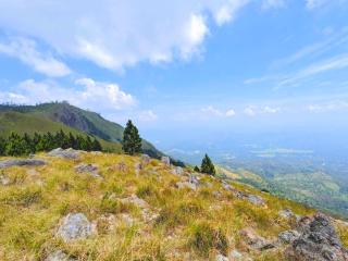 Diyaluma NAS Villa - 5