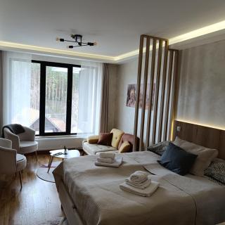 CENTRAL SQUARE - Apartmani Centar Zlatibor - 6