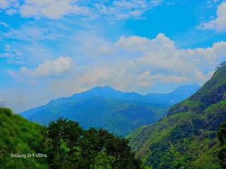 Mountain Range Cottage - 5