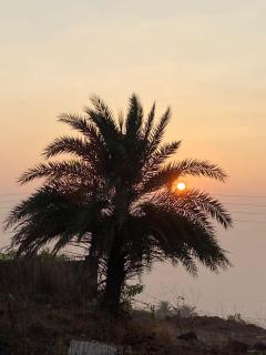 4, Seascape - Dapoli - 3