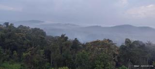 Mountain View guest house - Madikeri - 0