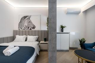Zebra Business & Leisure Heaven - Voluntari - 5