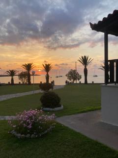 Kotsoris Studios - Kyparissia - 0