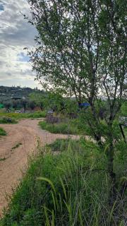 קראוון כליל הטבע - 3