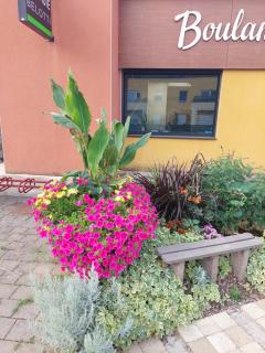 Les Tourterelles - 1