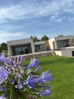 VILLA LUMIERE - Nîmes - 6