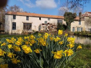 Gite du moulin - La Mothe-Saint-Héray - 9