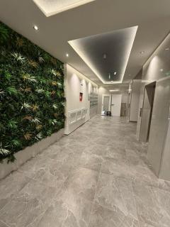 Apartment in city center - Gjilan - 3