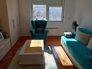 Apartman Klinički Centar Niš - Niš - 7