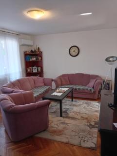 Apartman Klinički Centar Niš - Niš - 6