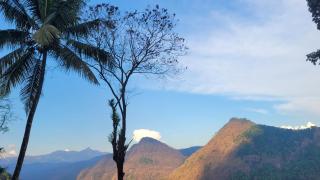 Newcastle Holidays Resorts-First Floor with 2 Bedrooms Living Dining Balcony-6 Guests- Near Munnar Idukki - Kūmudi - 5