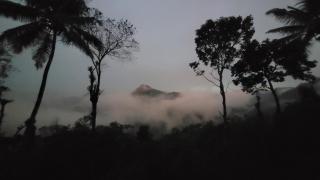 Newcastle Holidays Resorts-First Floor with 2 Bedrooms Living Dining Balcony-6 Guests- Near Munnar Idukki - Kūmudi - 4
