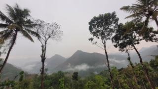 Newcastle Holidays Resorts-First Floor with 2 Bedrooms Living Dining Balcony-6 Guests- Near Munnar Idukki - Kūmudi - 3