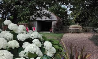 La Maison des Tilleuls - 7