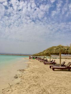 Family Apartment in Marsa Alam Three bed rooms - Marsa Alam - 0