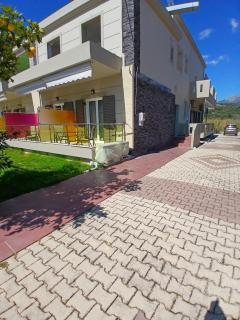 Octopus - Vassiliki - 8