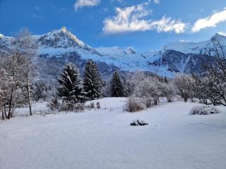 Chalet Manala - Chamonix - 5